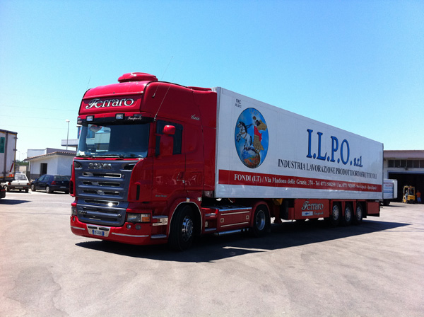 Logistica