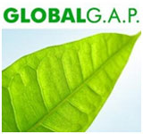 global gap