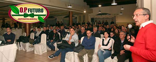 op futuro - meeting