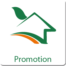 Promotion