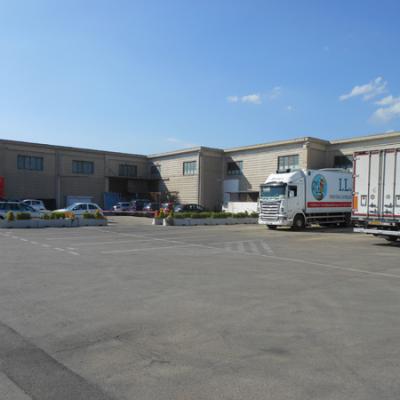Logistica 4